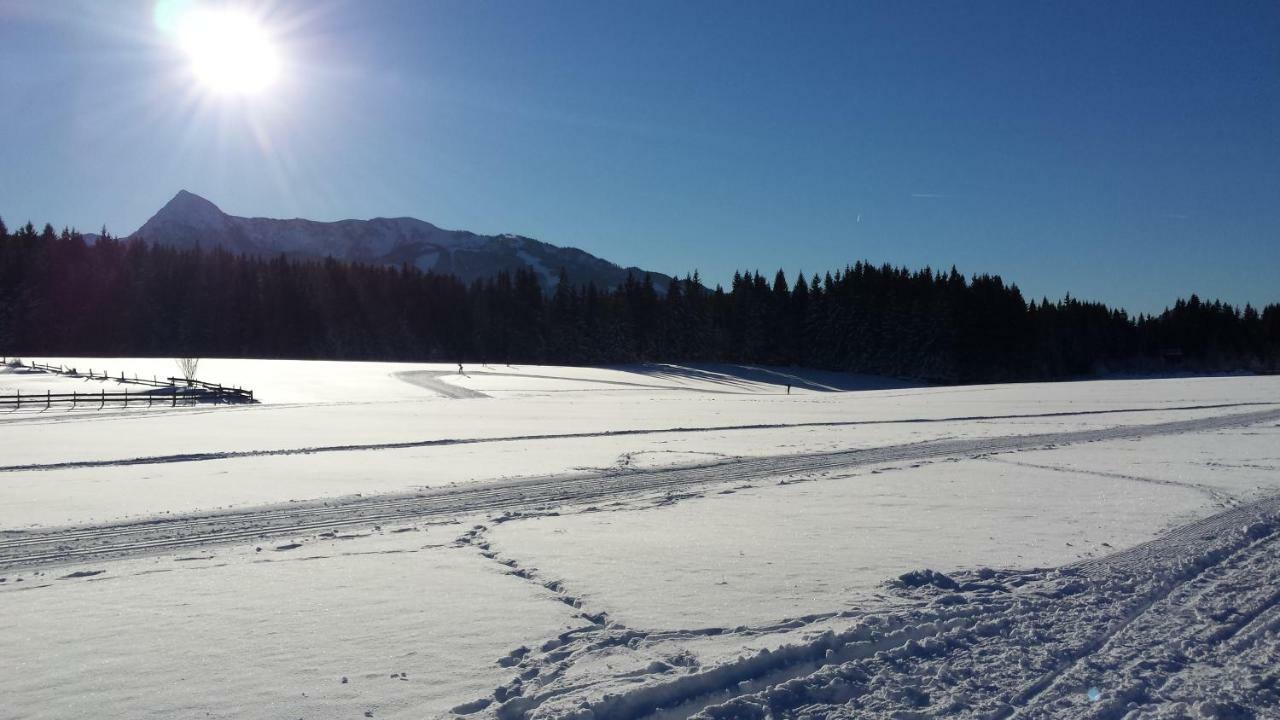 Haus Ferienglueck Lejlighed Ramsau am Dachstein Eksteriør billede
