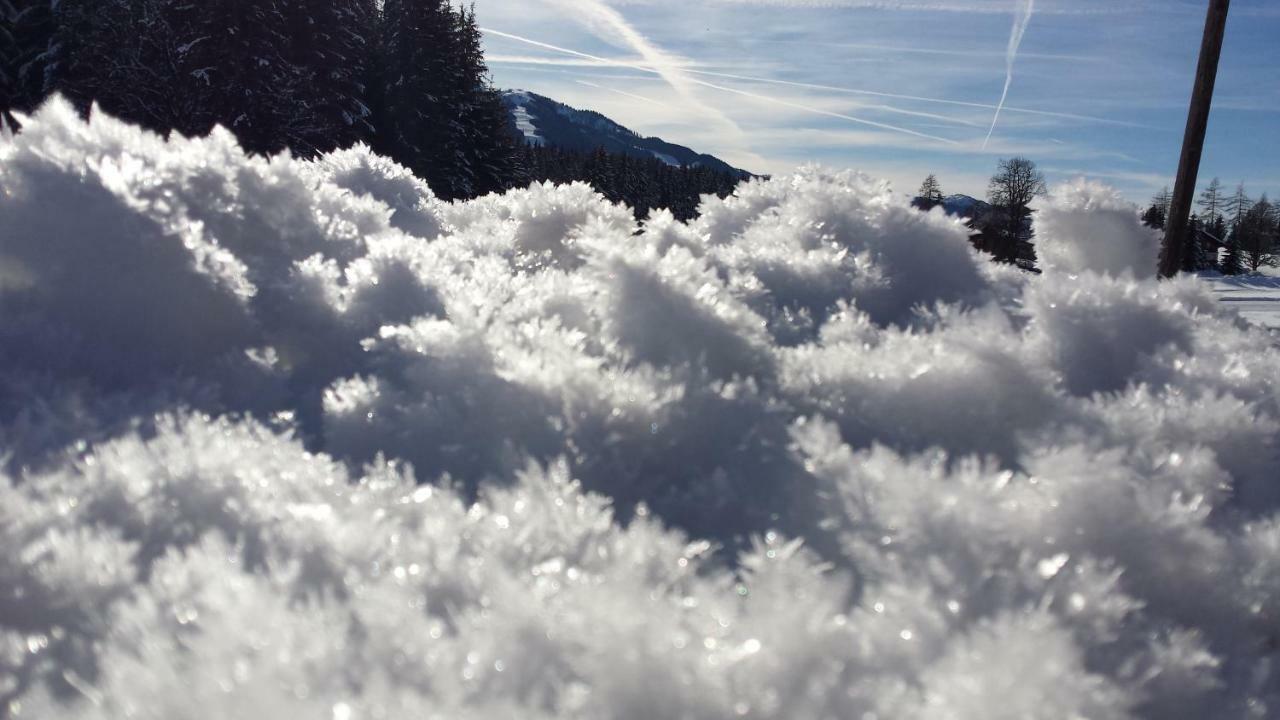 Haus Ferienglueck Lejlighed Ramsau am Dachstein Eksteriør billede