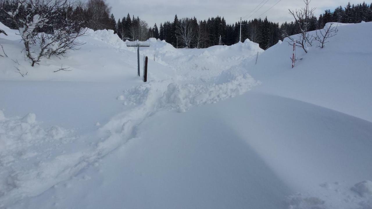 Haus Ferienglueck Lejlighed Ramsau am Dachstein Eksteriør billede