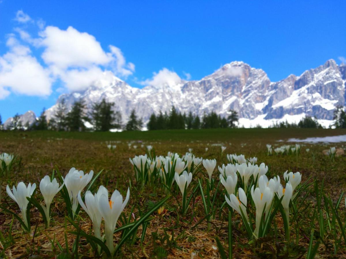 Haus Ferienglueck Lejlighed Ramsau am Dachstein Eksteriør billede
